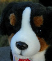 /album/stene-bernskeho-salasnickeho-vaclav-praci-plysova-hracka-teddy-hermann-hirschaid-nemecko-katalogove-cislo-91930-83/stene-bernskeho-salasnickeho-psa-vaclav-teddy-herman-hirschaid-mekke-plysove-zviratko-pes-psik-znackova-plysova-hracka-i-dekorace-praci-panenkov-R-7-jpg3/